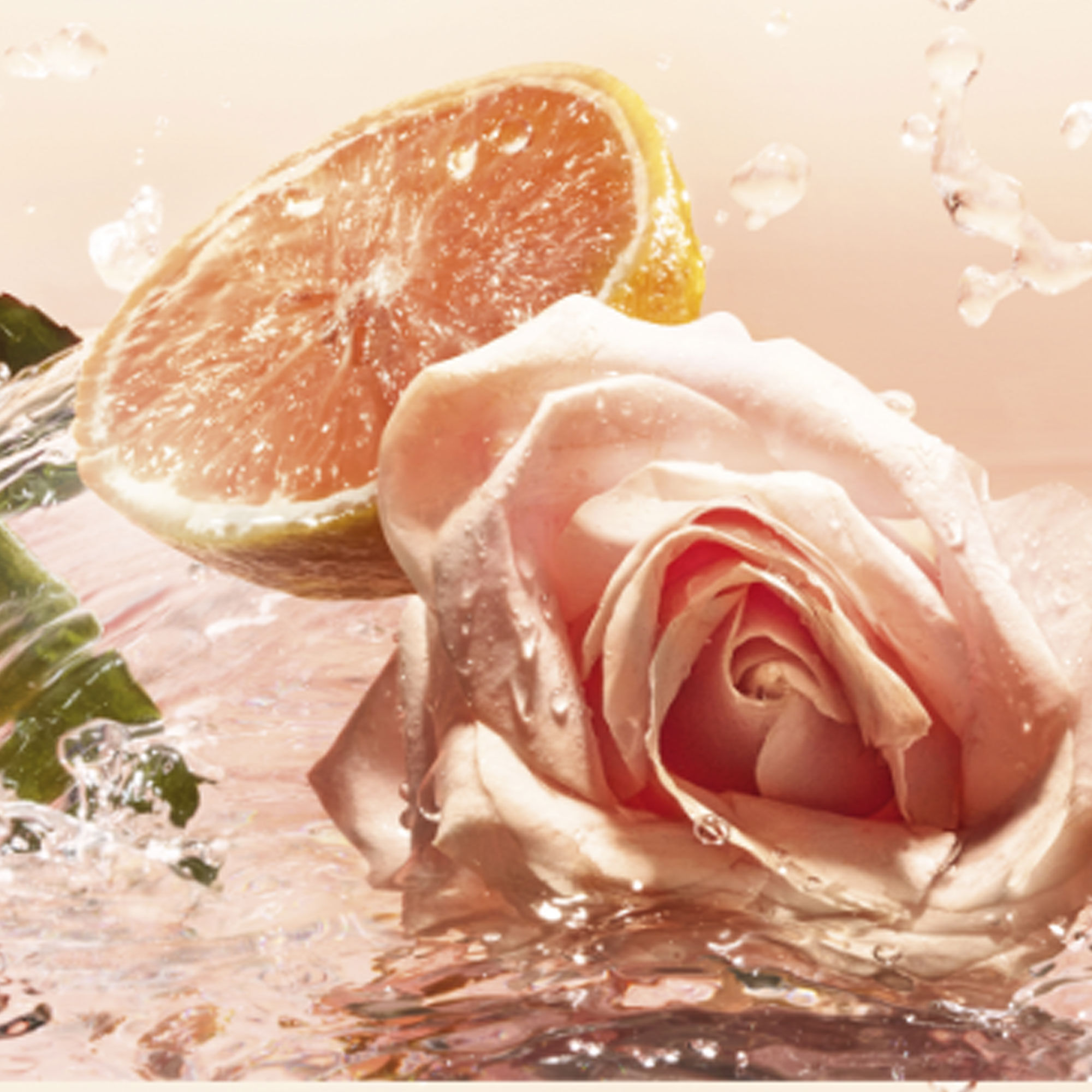 إيدول لو دو تواليت