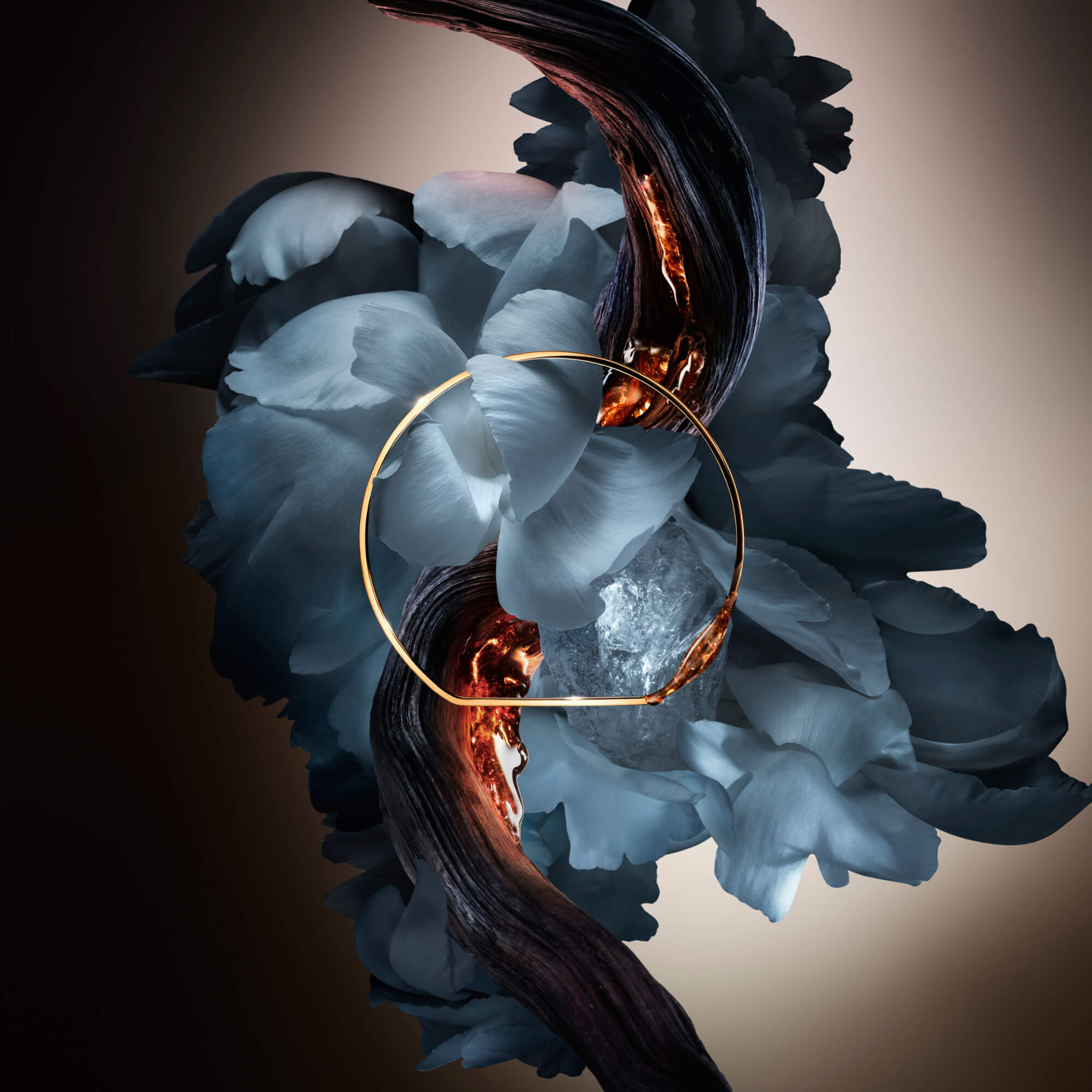 روز فروم ذا دارك