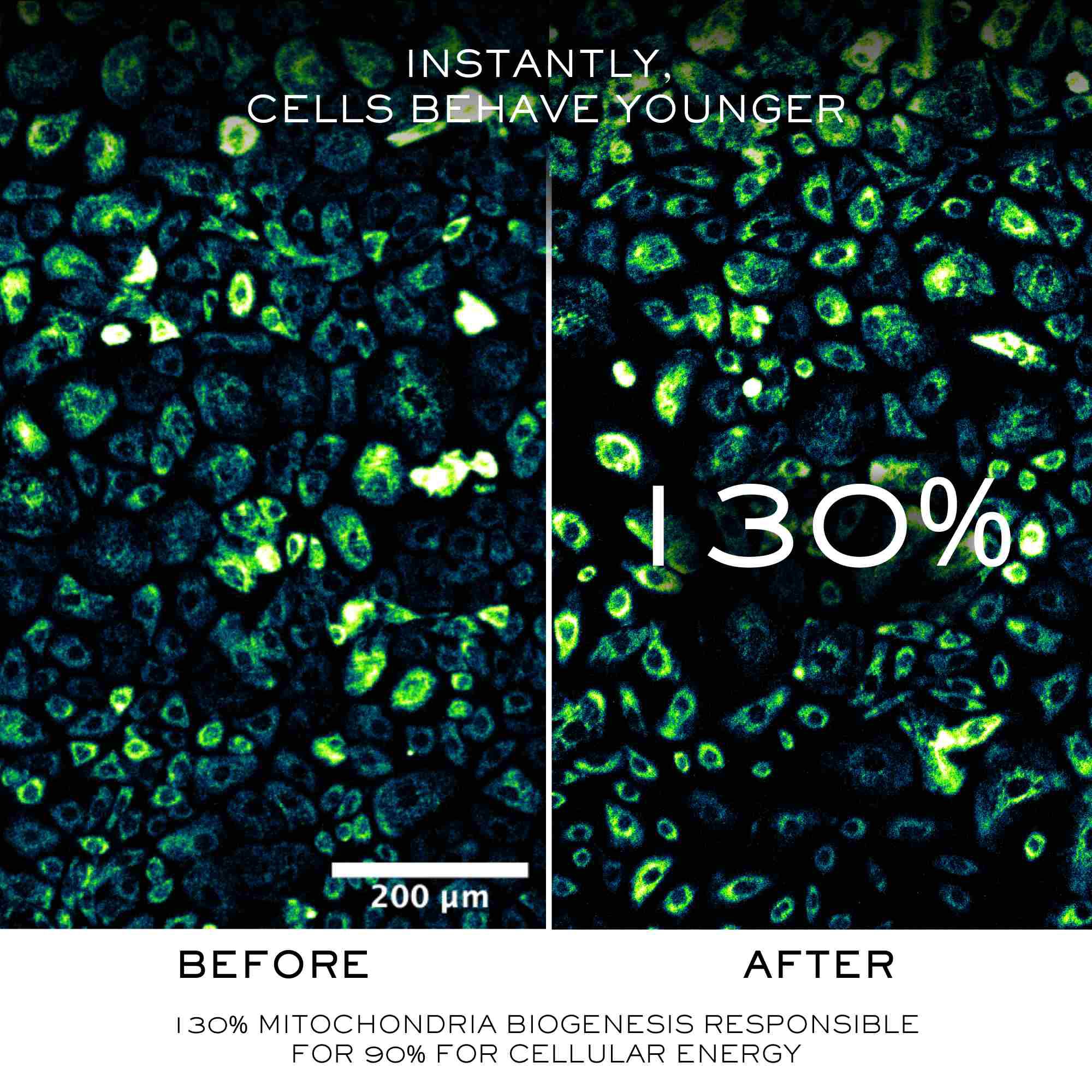 كريم أبسولو لونجيفيتي سوفت