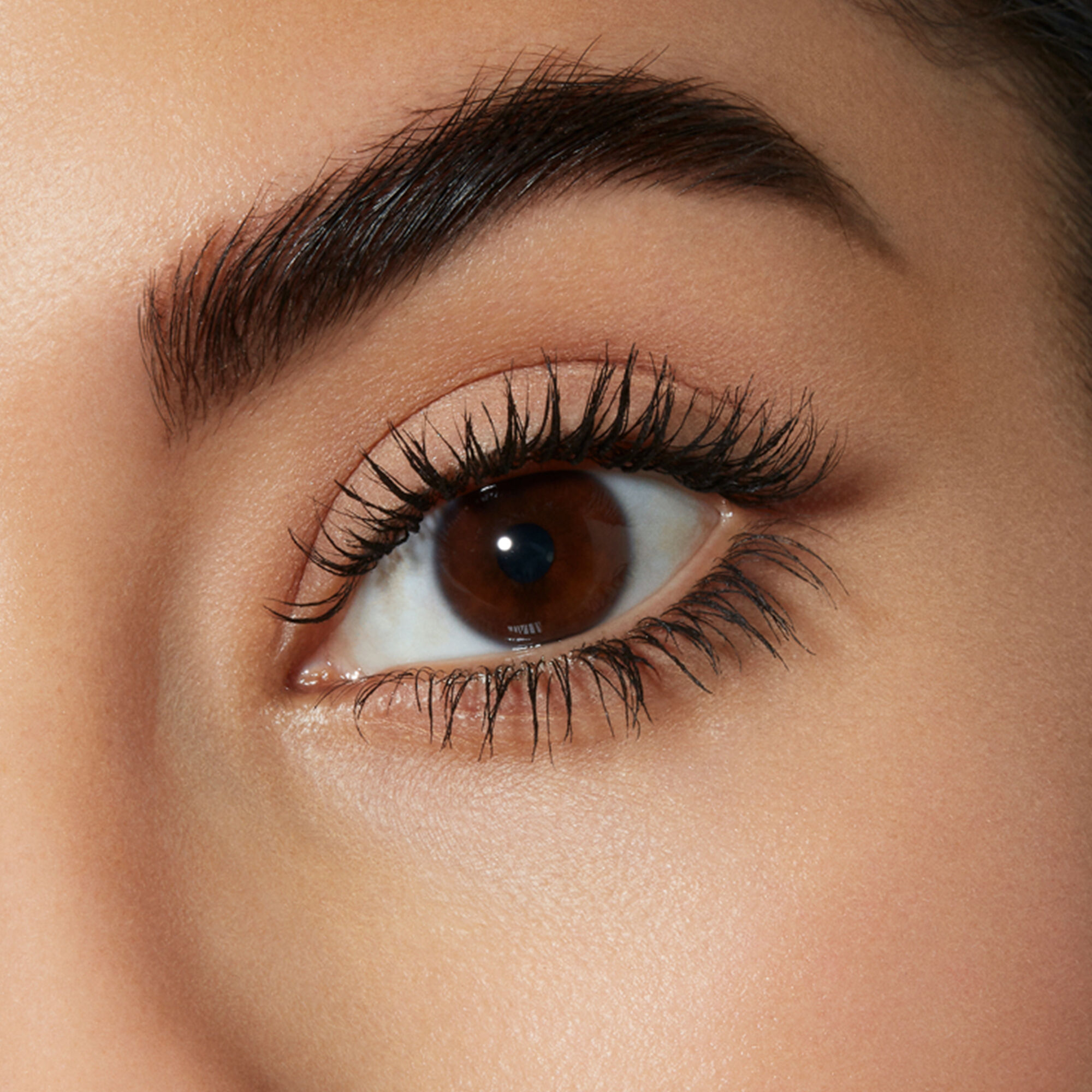 ماسكارا إيبنوز لابسولو دو نوار